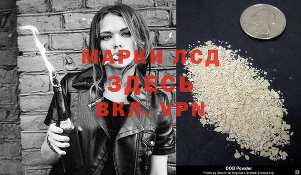 стафф Киренск