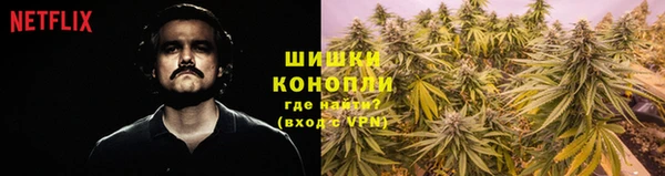 спайс Карпинск