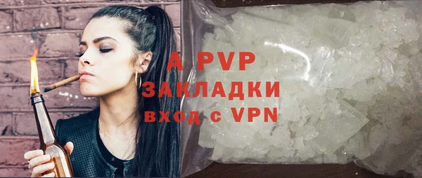 ПСИЛОЦИБИНОВЫЕ ГРИБЫ Калининец