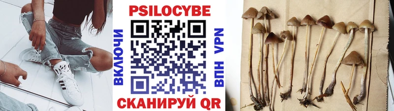 Галлюциногенные грибы MAGIC MUSHROOMS  блэк спрут онион  Северодвинск  где можно купить наркотик 