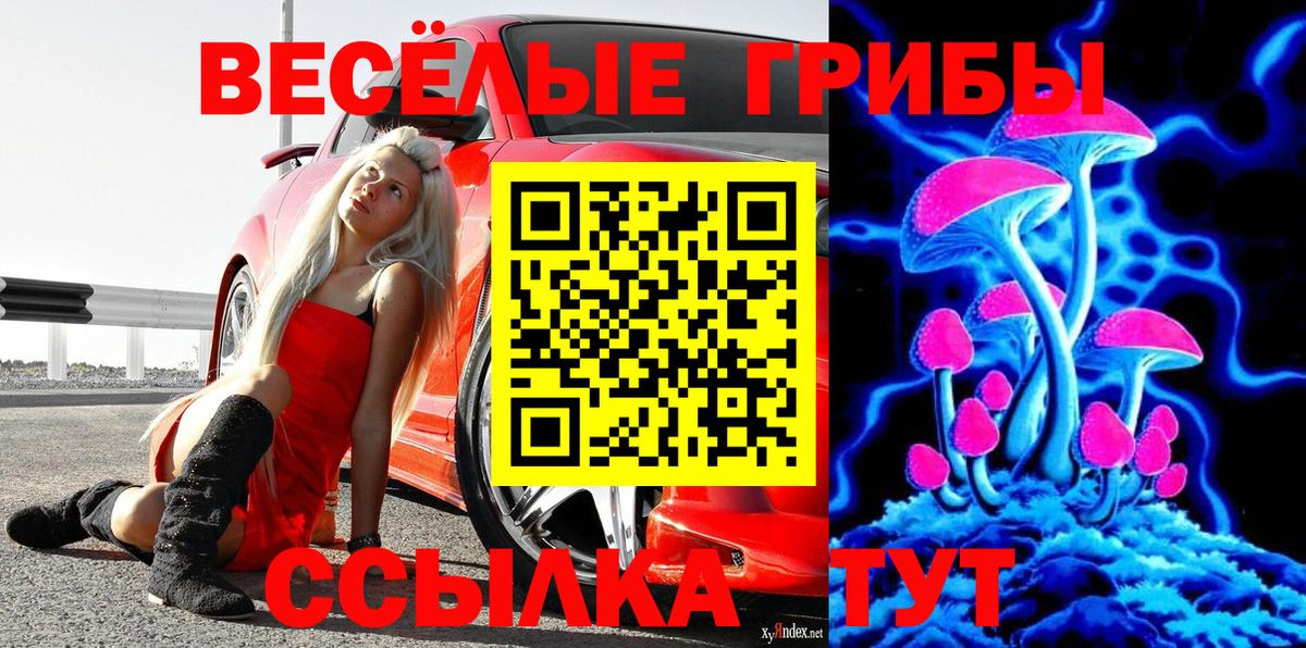 наркота  Псилоцибиновые грибы мицелий  Северодвинск  Вход с VPN  Псилоцибиновые грибы прущие грибы 