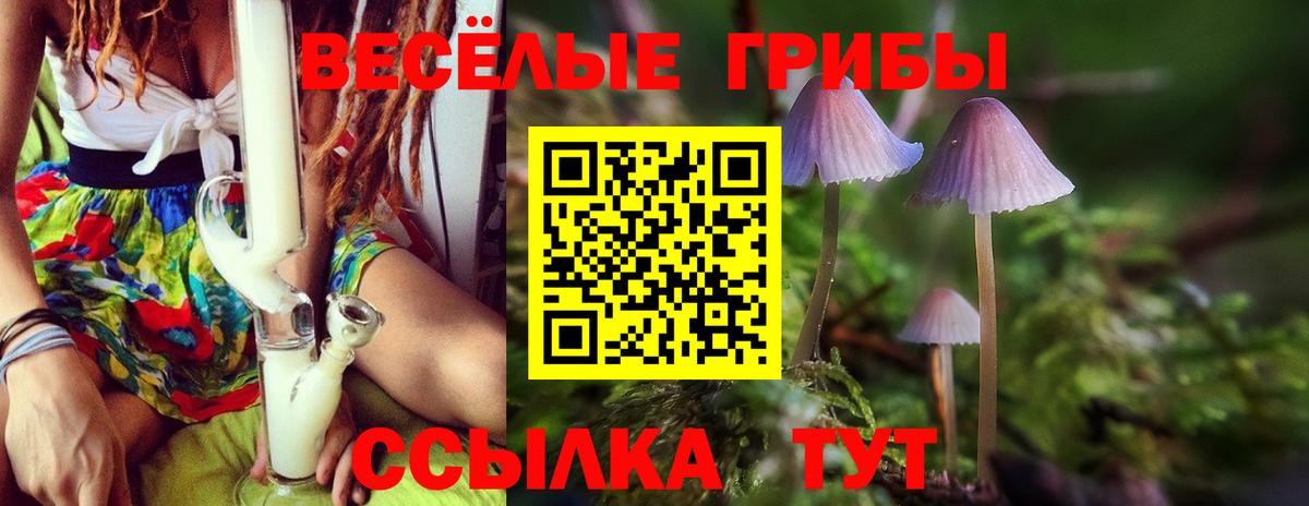 Псилоцибиновые грибы GOLDEN TEACHER  Северодвинск 