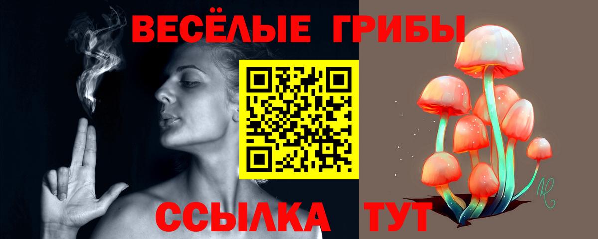 Псилоцибиновые грибы MAGIC MUSHROOMS Северодвинск