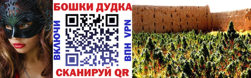 блэк спрут ССЫЛКА  Северодвинск  Конопля Amnesia 