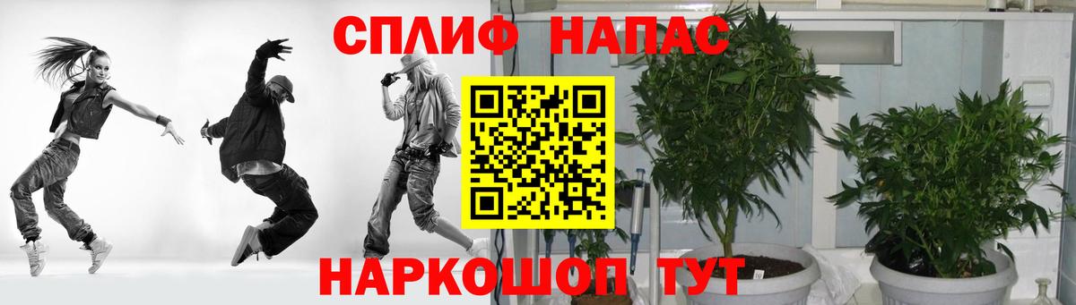Бошки Шишки ГИДРОПОН Северодвинск